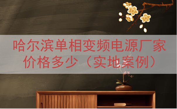 哈尔滨单相变频电源厂家价格多少（实地案例）